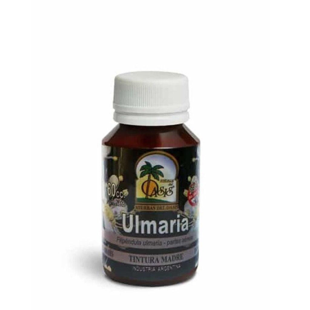 T.M. ULMARIA x60cc. (H.  OASIS) (NDPB)