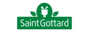 SAINT GOTTARD